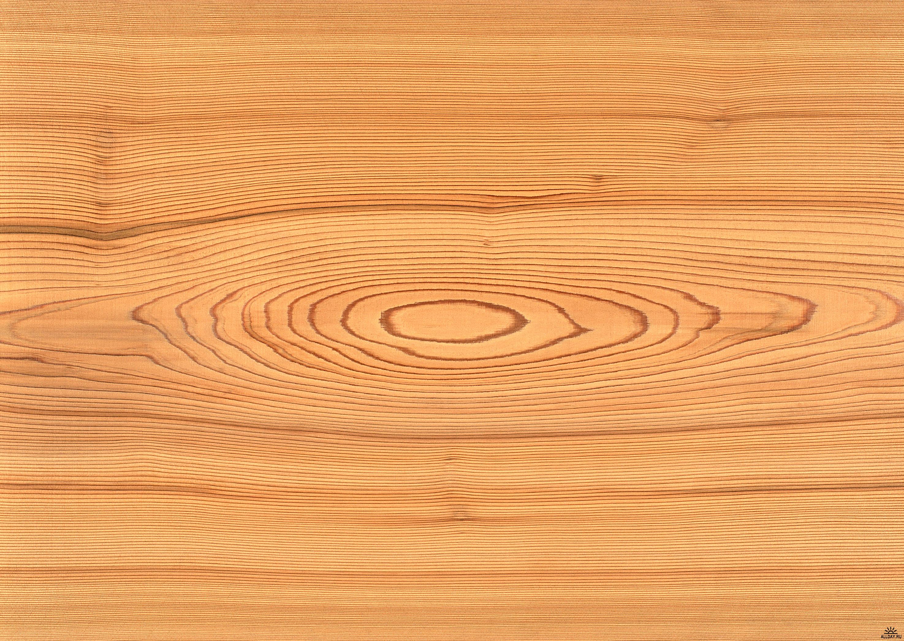 Текстура дерево, скачать бесплатно, фото, download wood texture, background